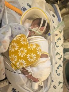newborn in the nicu with tubes